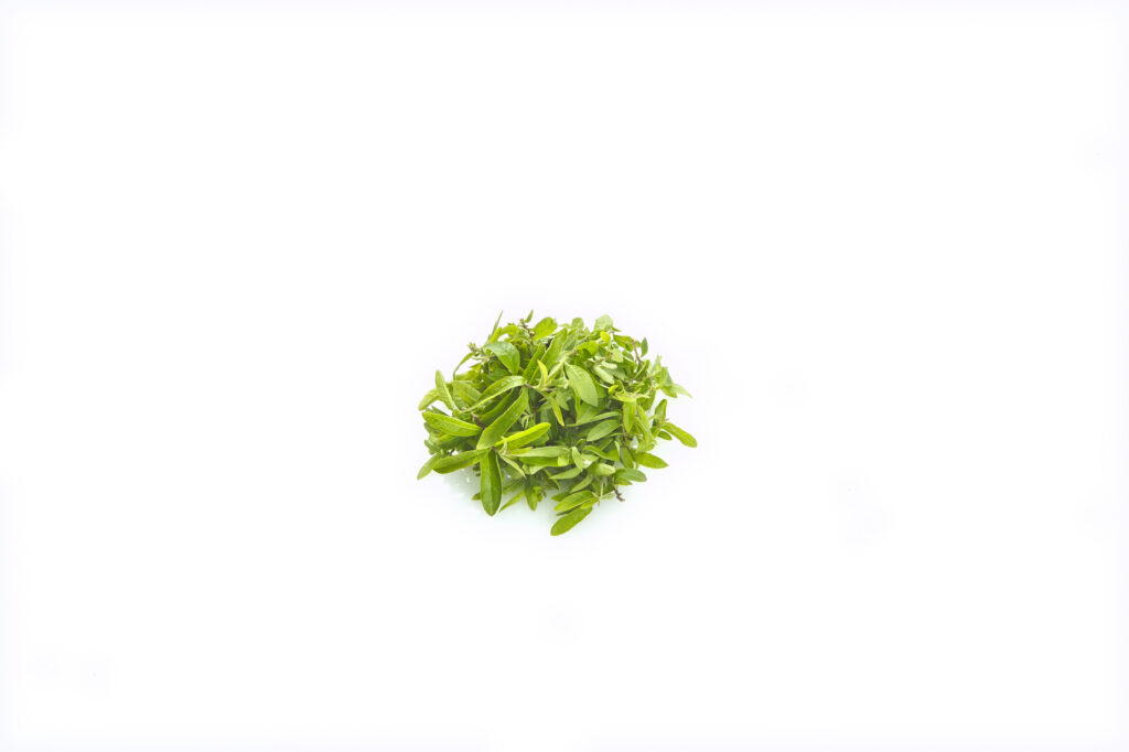 Citronella