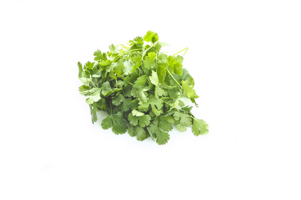 Coriandolo